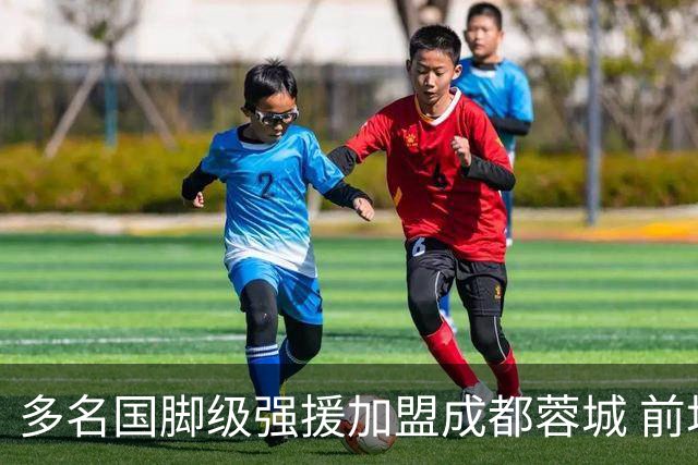 多名国脚级强援加盟成都蓉城 前场还有进人空间